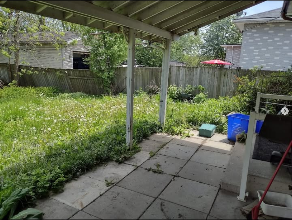 Before: overgrown lawn before MSR Property Services